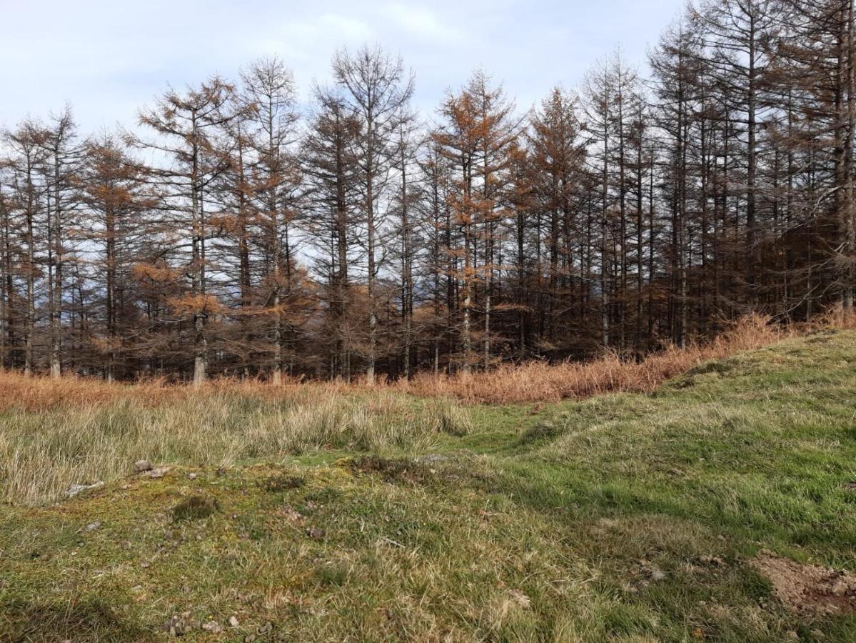 Apartamento Rural Елисондо Екстериор снимка